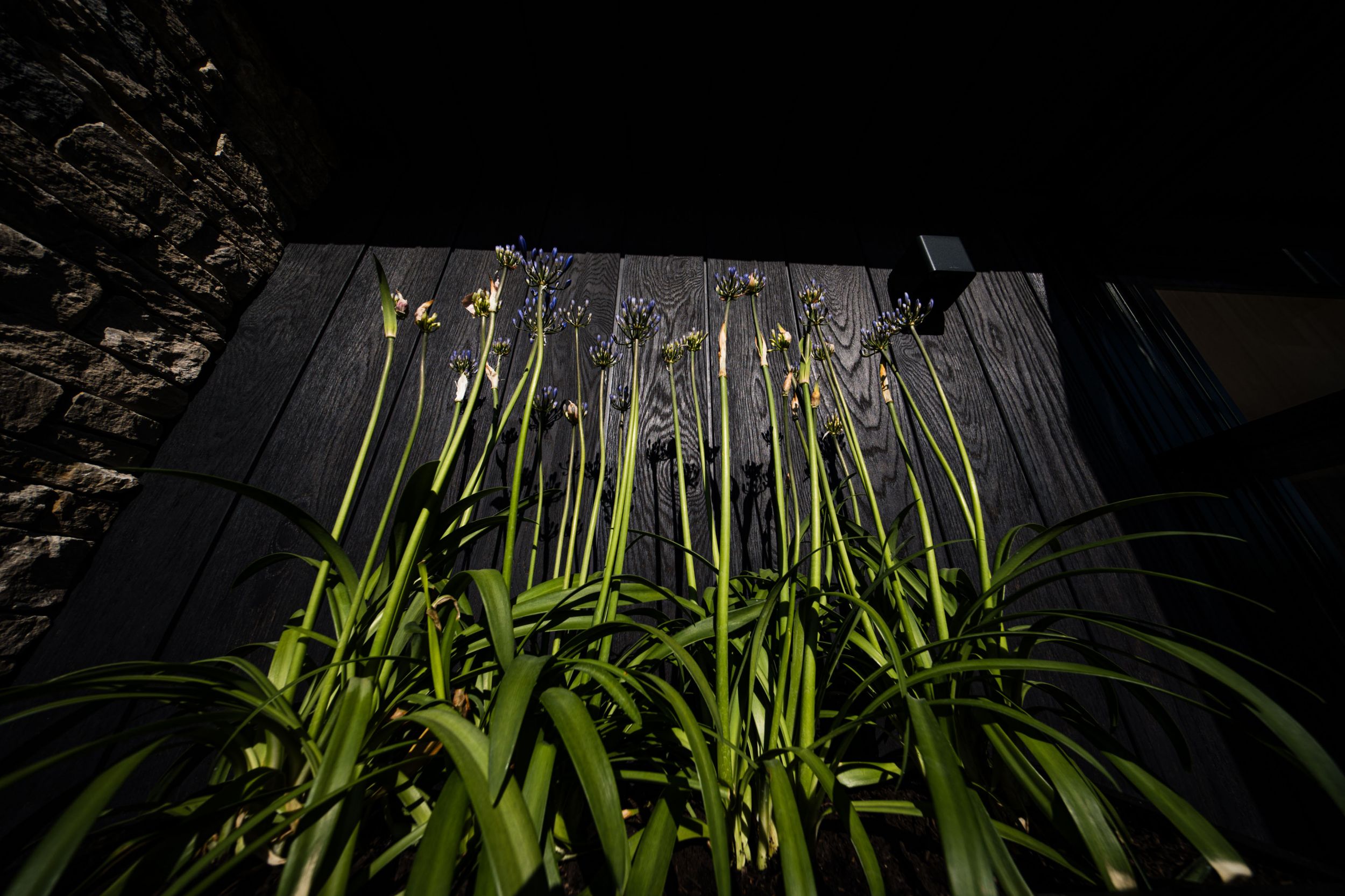 Into The Garden Room — bespoke garden building